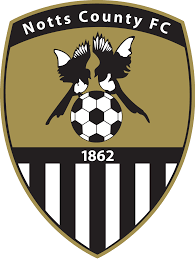 https://img.sjzlgkvc.com/img/football/team/9e230c89a846b9cadf91884918fa7611.png